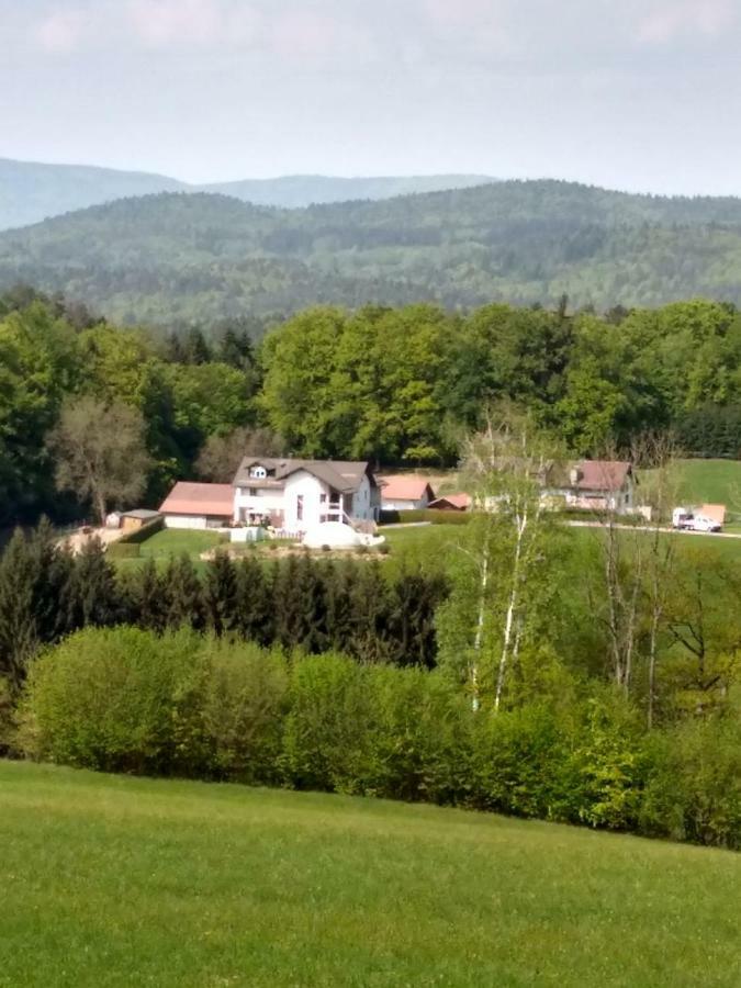 Ferienwohnung Betula Fürstenstein Eksteriør billede